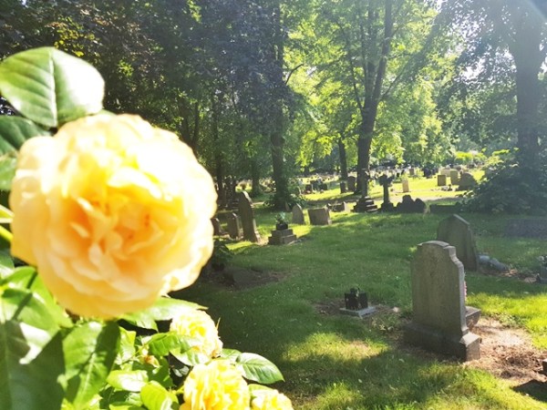 A Place Of&nbsp;Peace