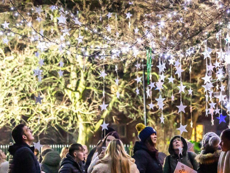 TREE OF LIGHT&nbsp;CEREMONY